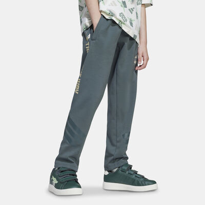 adidas Kids' Star Wars The Mandalorian Joggers Grey
