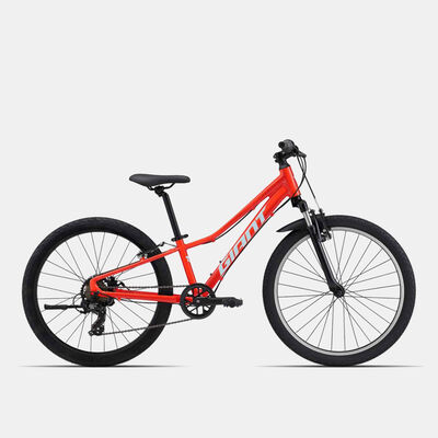 Giant Kids' Talon 24 Valencia Mountain Bike Multi