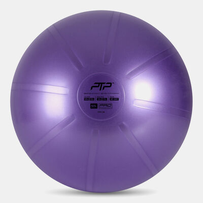 PTP Core Ball (55cm) Multi