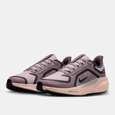 Nike Women's Pegasus 41 GORE-TEX Road Running Shoes Grey